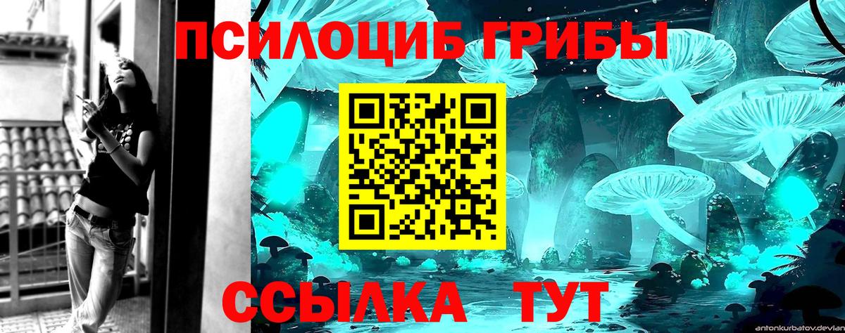 Галлюциногенные грибы MAGIC MUSHROOMS  где продают наркотики  Якутск  Вход с VPN 